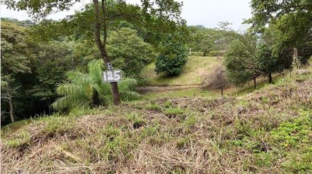 MLS-26-182 LS VENTA LOTE SAN PEDRO TURRUBARES Foto 4 de 7