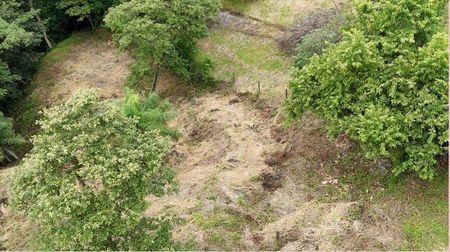 MLS-26-182 LS VENTA LOTE SAN PEDRO TURRUBARES Foto 6 de 7