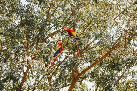 MLS-26-30 LS VENTA LOTE OROTINA ALAJUELA  Imagem 3 de 6