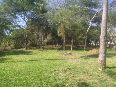 MR ALONSO: 6.000 M2, PRIVILEGIADA UBICACIÓN, P/ IMPORTANTE EMPRENDIMIENTOS, 85 USD/M2.