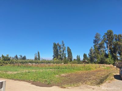 Olivar Alto Hipólito Salas Foto 2 de 4