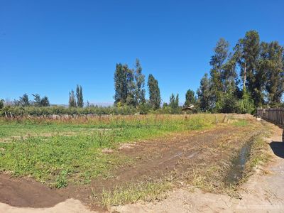 Olivar Alto Hipólito Salas Foto 3 de 4