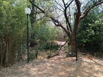 Oportunidad 1,388 m2 casa para Remidelar en el centro de tep