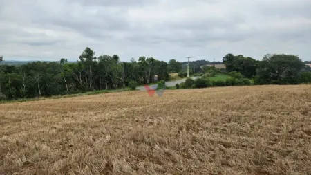 Oportunidade em Araucária Terreno urbano de 84.700 m para loteamento ou condomínio