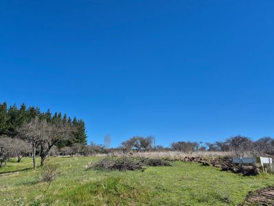 Parcelas planas a minutos San Nicolás y Chillán | Huanpuli