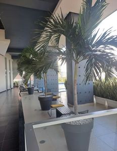  PH ELEMENT , AVENIDA BALBOA  -M