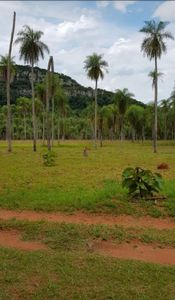 PIRIBEBUY – CORDILLERA: 7.3 HAS C/ ARROYOS Y CERROS, P/ DESARROLLOS INMOBILIARIOS.