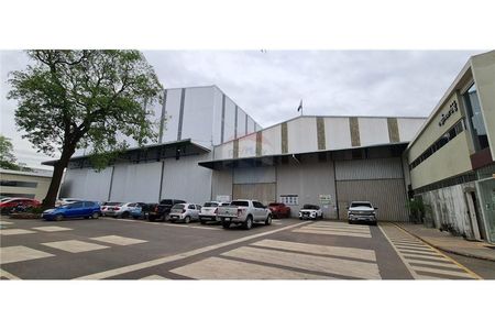 Propiedad Industrial Única en Luque 20.200 mt2 Foto 4 de 7