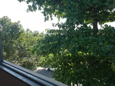 Rua Guatambu 2quartos 1.500,00 sem condomínio