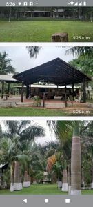 SAN JOSÉ DE LOS ARROYOS, CAAGUAZÚ: 20 HAS, GRANJA C/ TODAS LA COMODIDADES, AGRO-GANADERAS.