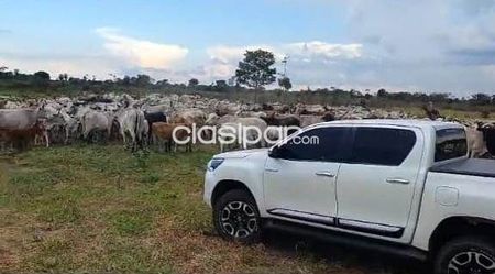 SAN PEDRO Y ANTEQUERA S/ RUTA: 700 HAS FORMADAS, INSTALACIONES, PASTURAS, AGRO-GANADERA.