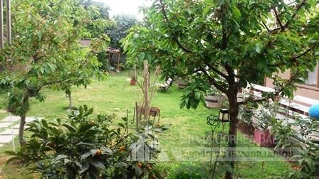 Santa Teresa Foto 8 de 10