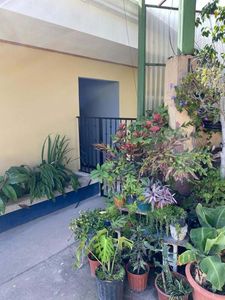 Se alquila estudio Ejecutivo en Desamparados.