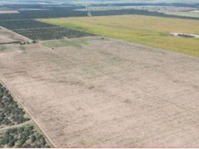 se vende campo en villa mercedes san luis OPORTUNIDAD