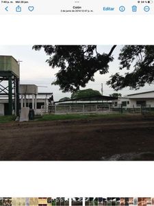 Se vende finca ganadera de 589 Hectáreas Santa Bárbara del Zulia, con excelentes instalaciones.