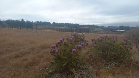 SE VENDE SITIO CON VISTA AL MAR EN CAHUIL - PICHILEMU -VI RE