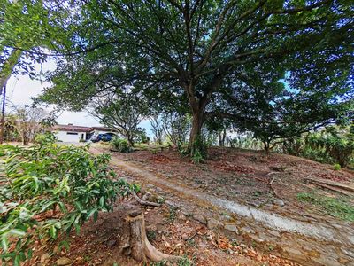  Se vende Terreno para desarrollo en Bello Horizonte, Escazú Imagem 1 de 10