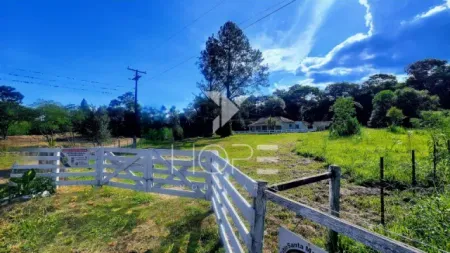 Sitio em Sapopema de 2 alqueire - Lambari