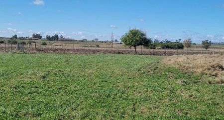 SUCESOS VENDE CHACRAS DE 3 HAS EN RUTA 40 KM 92.5 Foto 2 de 4