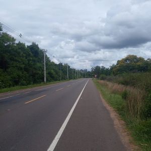 TARUMANDY – LUQUE S/ ASFALTO: INMEJORABLES 7 HAS, IDEALES P/ DESARROLLOS INMOBILIARIOS.