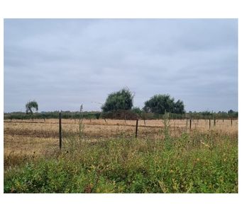 Terreno 5.7 Ha Orilla Ruta 5 Sur. Chillán. Excelente Precio