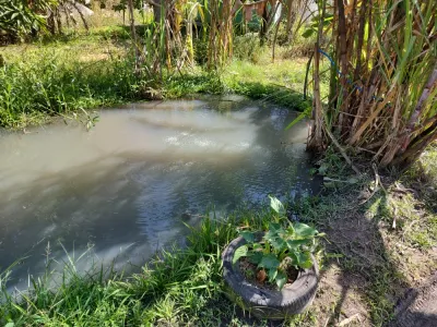 Terreno Com Kitnet Em Construção! Área Rural Próximo A Comér