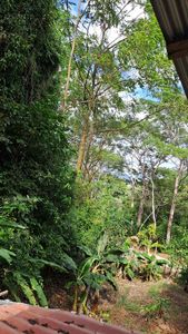  Terreno con 2 Cabañas en Venta. Santa Elena. 724 m2