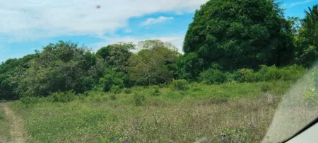 TERRENO CON TODOS LOS SERVICIOS TOTALMENTE PLANO LOC TEJAR Foto 1 de 7