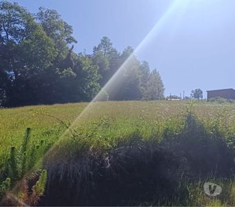 Terreno con vista y magia natural en Valdivia Foto 2 de 12