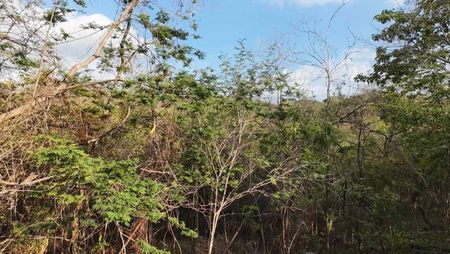 Terreno de 10 Hectáreas en Venta