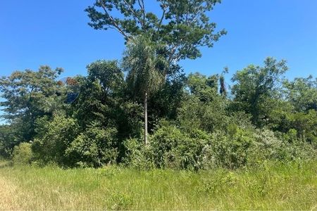TERRENO DE 7533 M2 EN NUEVA ITALIA