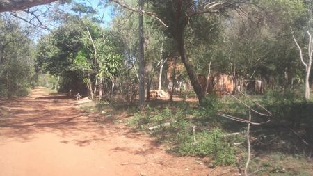 Terreno en Luque a cuotas Lanzamiento Promoción 1300000 Aproveche YA ..Agendarse Foto 2 de 2