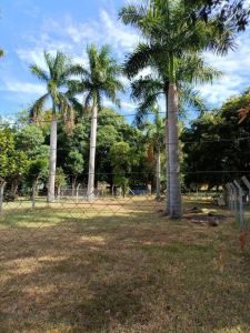 Terreno en Luque Laurelty - Ubicacion Inmejorable