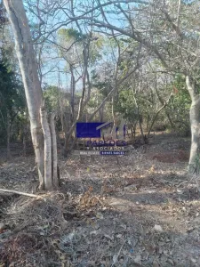 Terreno en Venta 593.78 m2 Ixtapa Campo de Golf  T517