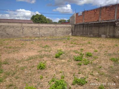 Terreno en venta centro de Tinaquillo Foto 5 de 6