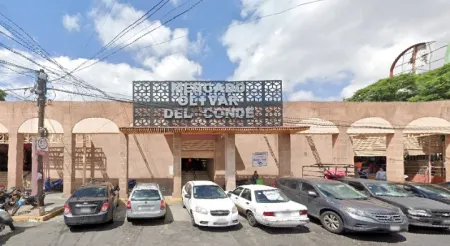 Terreno en Venta Colinas del Sur Alvaro Obregón CDMX