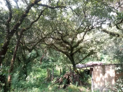 Terreno en venta colonia ocotes rodeado de naturaleza