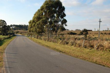 Terreno en venta en Punta del Este, Punta del Este  CODMP52944