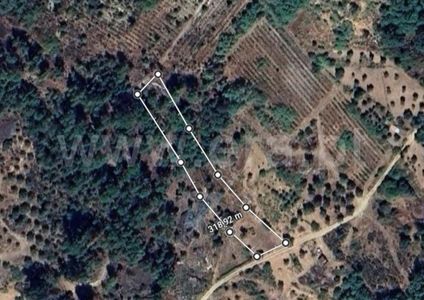 Terreno / Fundão, Pêro Viseu