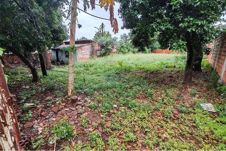 TERRENO INMEDIACIONES DEL SUPER PUEBLO  Foto 5 de 5