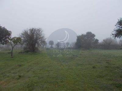 Terreno para comprar em Alcorochel, Portugal