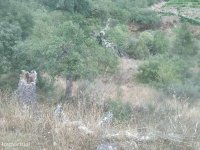 Terreno para comprar em Seixo de Ansiães, Portugal