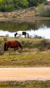 Terreno Tajamares de la Pedrera Imagem 18 de 19