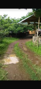Terreno Valle de Atongo Barrio Mextitla