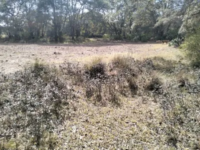 TERRENO VENTA CHIGNAHUAPAN PUEBLA