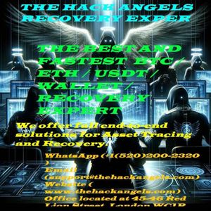 THE BEST AND FASTEST BTC / ETH / USDT / WALLET / RECOVERY EXPERT -THE HACK ANGELS