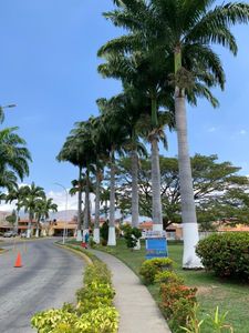 Tree009 Tree007 Te Ofrece En Venta Lindo Town House En Laguna Club Residencial $31.000