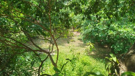 Tres terrenos juntos en Zeballos Cue