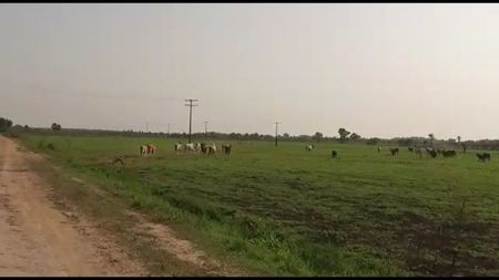 VALLEMI – CONCEPCIÓN S/ RIO PY: VENDO 15.950 HAS, IDEAL P/ PUERTOS, EMBARCADEROS, ASTILLER