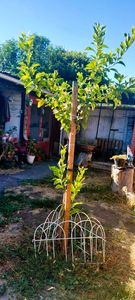 🏡 VENDEMOS CASA EN LAS HIGUERAS, TALCAHUANO, 3D2B2E. Foto 9 de 10